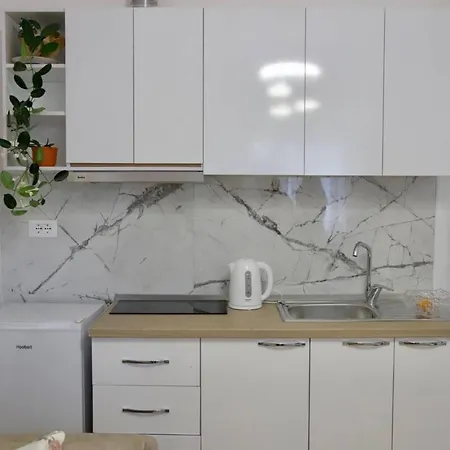 Bloom In Apartment